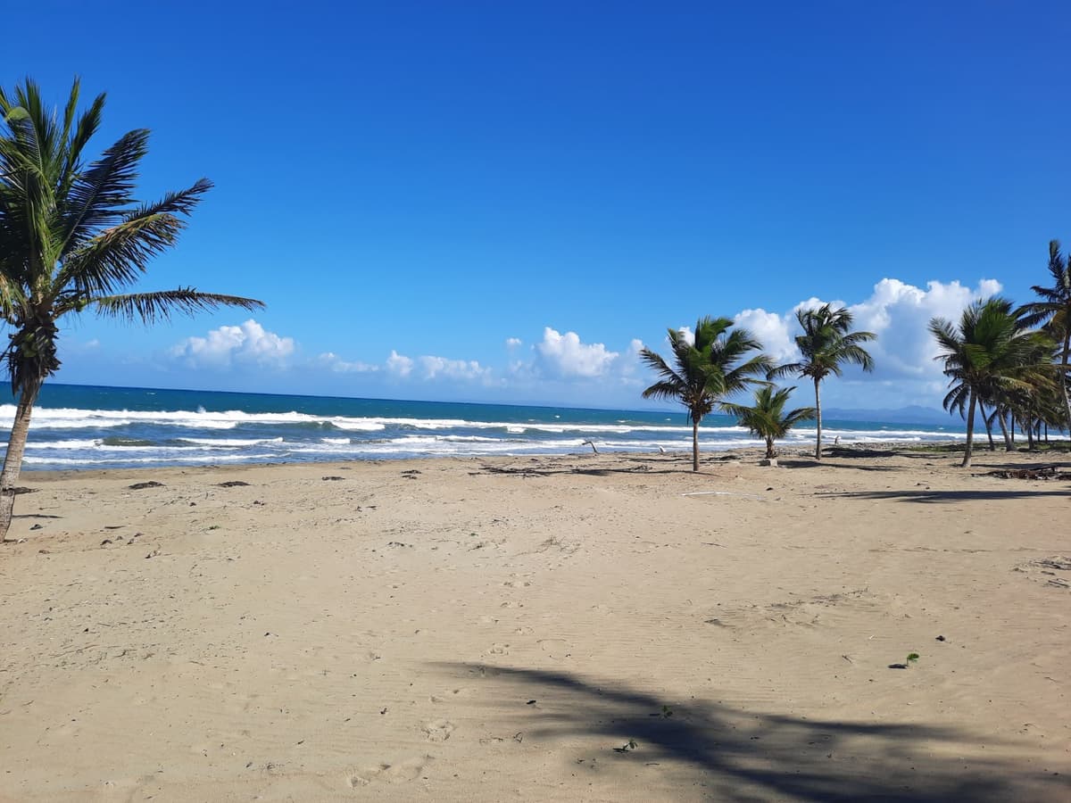 New Price Full Oceanfront 3 Bed 3 Bath Condo - Image 4