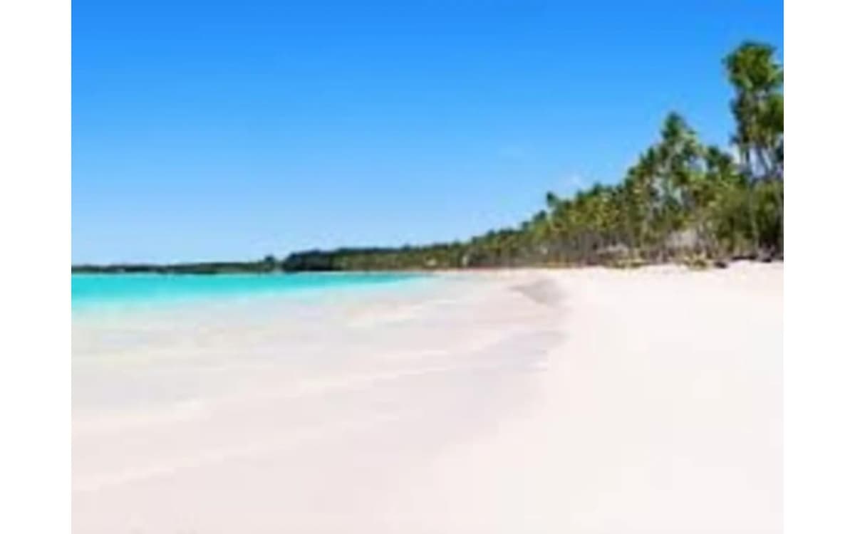 Id-3019 Three-bedroom Apartment For Sale In Punta Cana - Image 1