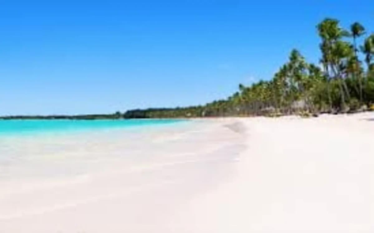 Id-3011 One Bedroom Condo For Sale In White Sands Punta Cana - Image 1