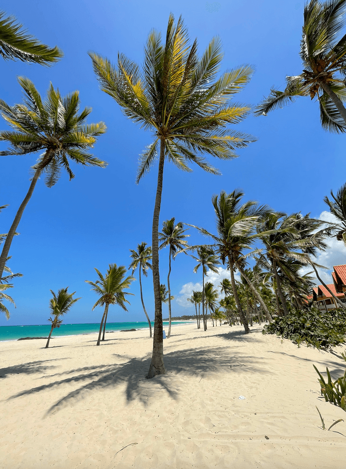 2 Bedroom 2 Bathroom Apartment White Sands Bavaro - Image 3