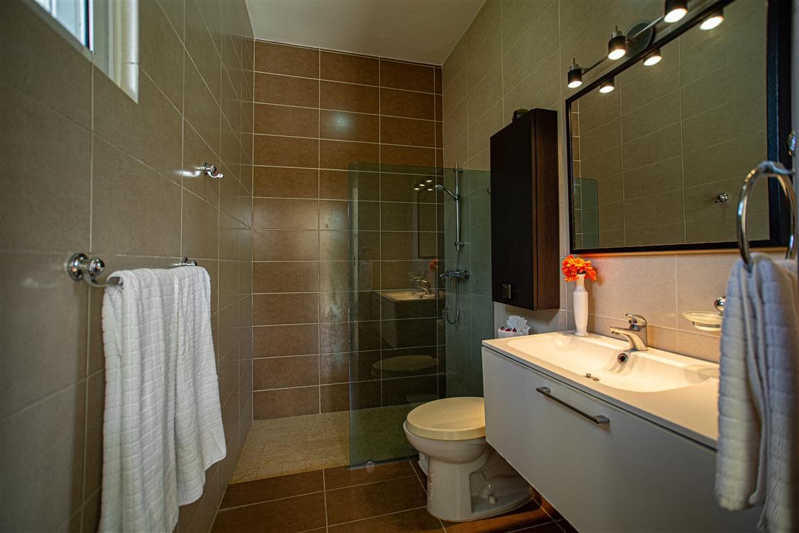 Luxury Modern 3-bedroom Villa With Infinity Pool - Image 4