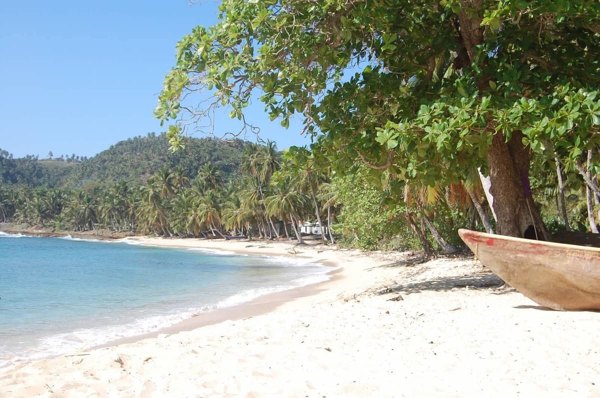 One Of A Kind - Image 3