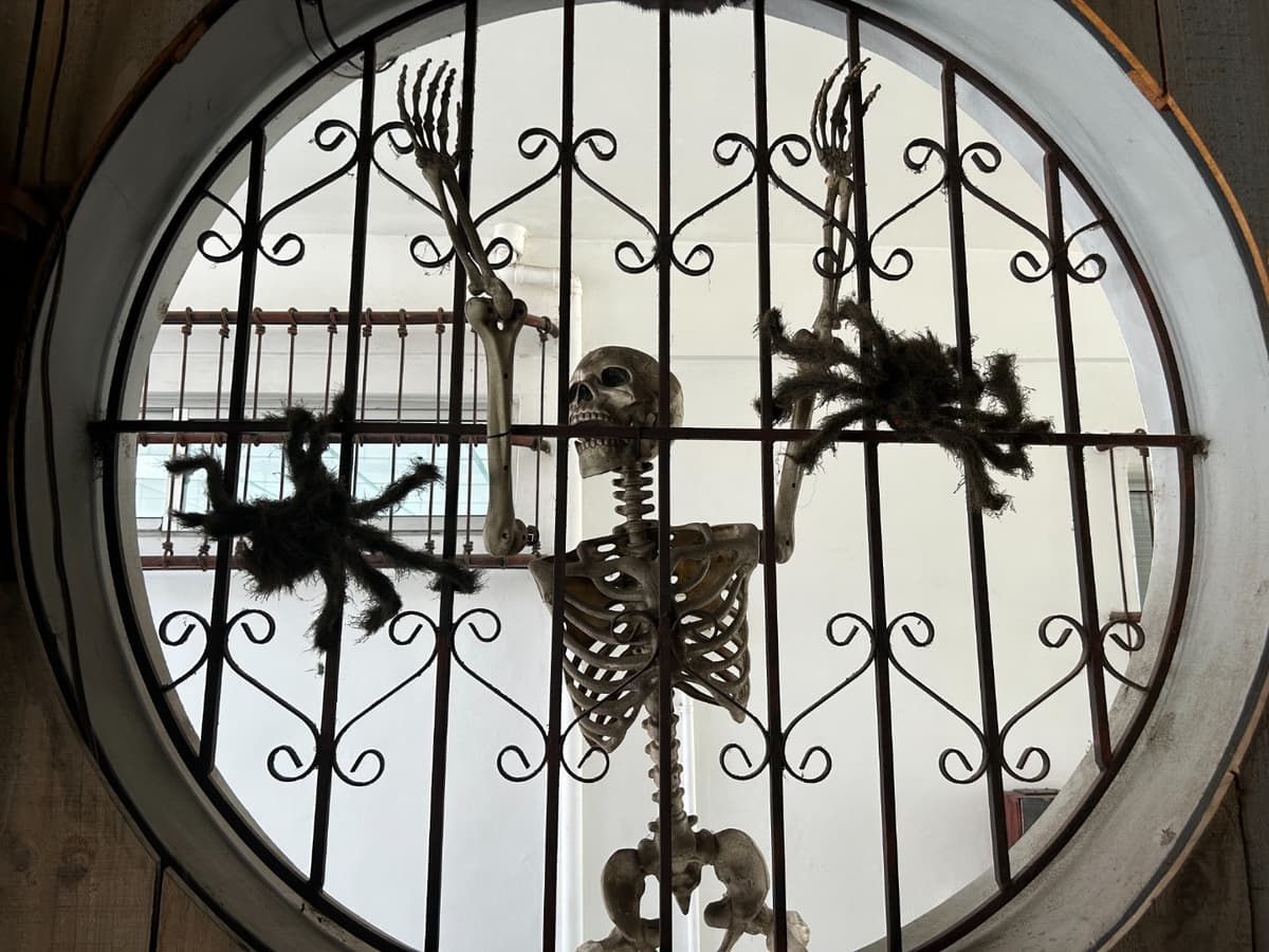 Extremely Popular Bar Best Returns On Investment - Image 4