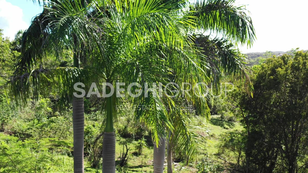 Breathtaking Land For Sale In El Choco Sosua - Image 3
