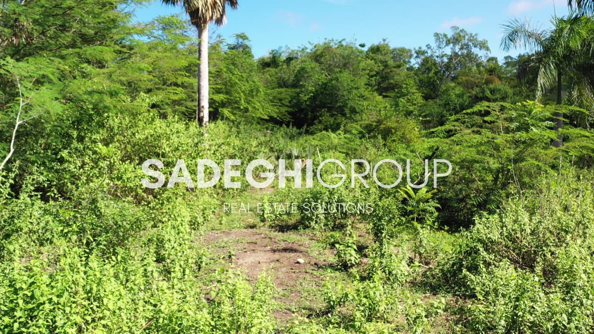 Breathtaking Land For Sale In El Choco Sosua - Image 4