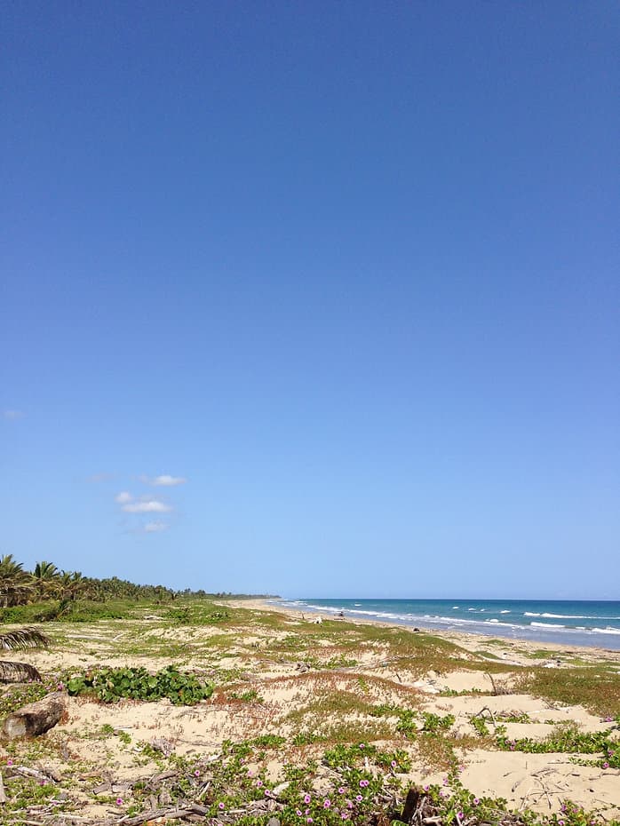 Beautiful And Amazing Virgin Land - Image 4