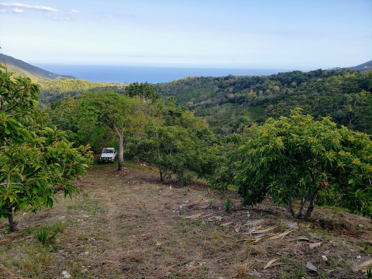 Land With Ocean View Have Fresh Water And Beside A River Have - Image 2