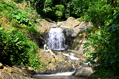 Land For Sale Motivated Seller!! - Image 3