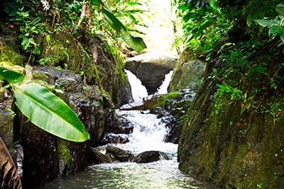 Land For Sale Motivated Seller!! - Image 5