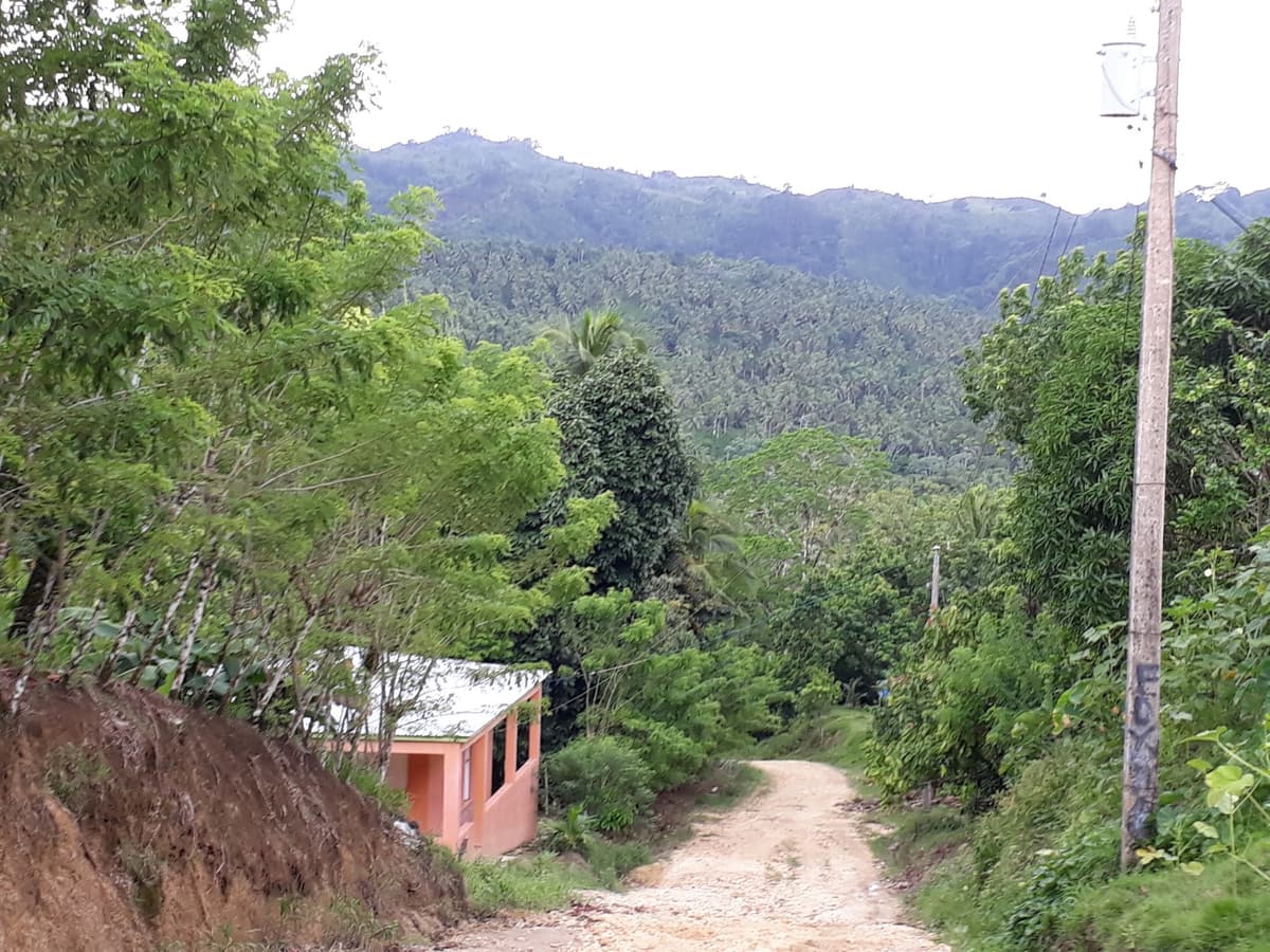 Coconut And Cocoa Farm - Image 5