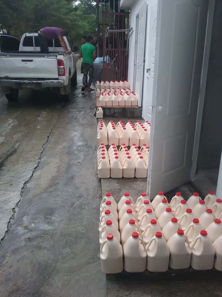 Cattle Farm