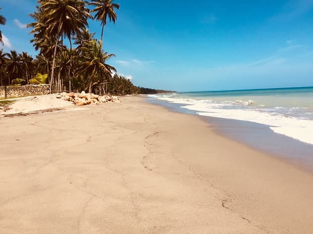 Stunning Land For Build Your Perfect Project - Image 2