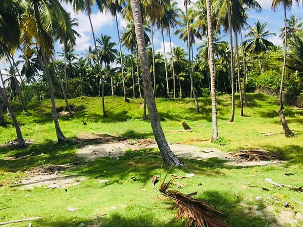 Stunning Land For Build Your Perfect Project - Image 3