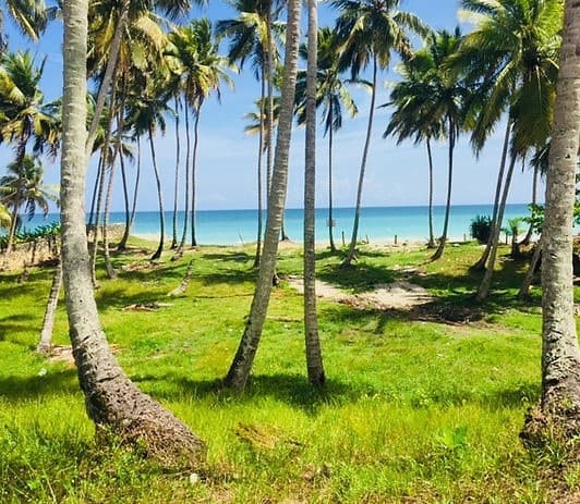 Stunning Land For Build Your Perfect Project - Image 5