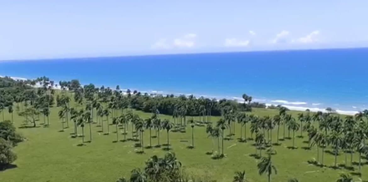 Prime 37,500 m² Beachfront Development Land – Gaspar Hernández, North Coast - Image 3