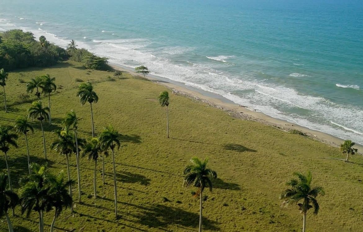 Prime 37,500 m² Beachfront Development Land – Gaspar Hernández, North Coast - Image 4