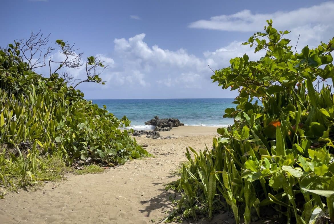 For Sale! Charming B&B Just Steps To The Beach - Image 1