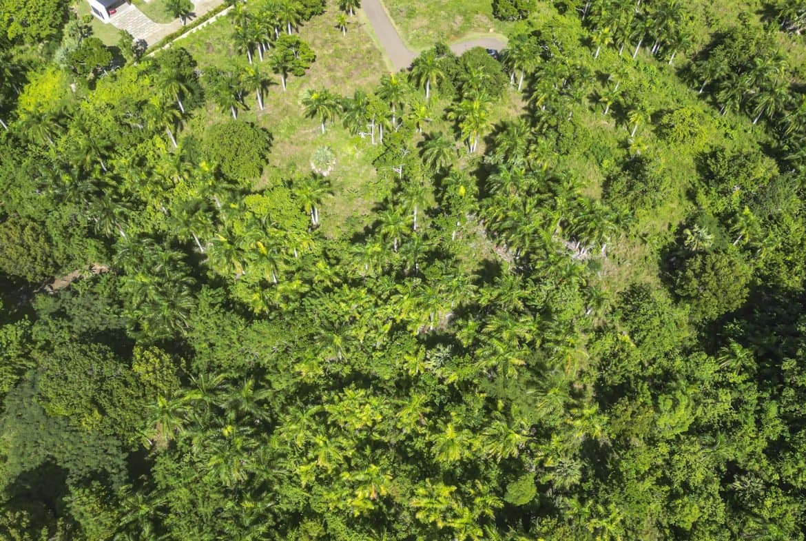 Premium 2,295 m² Ocean-View Lot in Panorama Village – Exclusive $105k Opportunity - Image 4