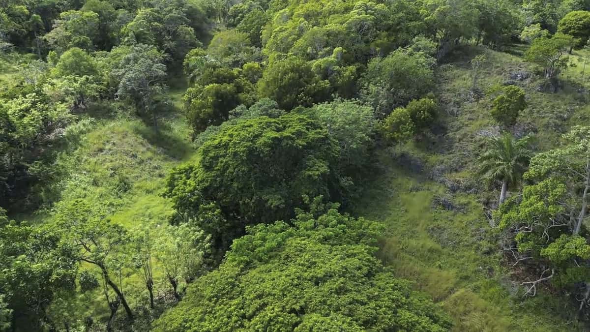 76 Acres Prime Development Land L 4082 LM