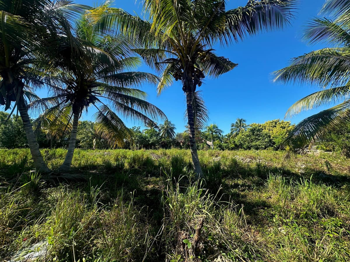 Lot For Sale, Lomas Mironas - Image 2