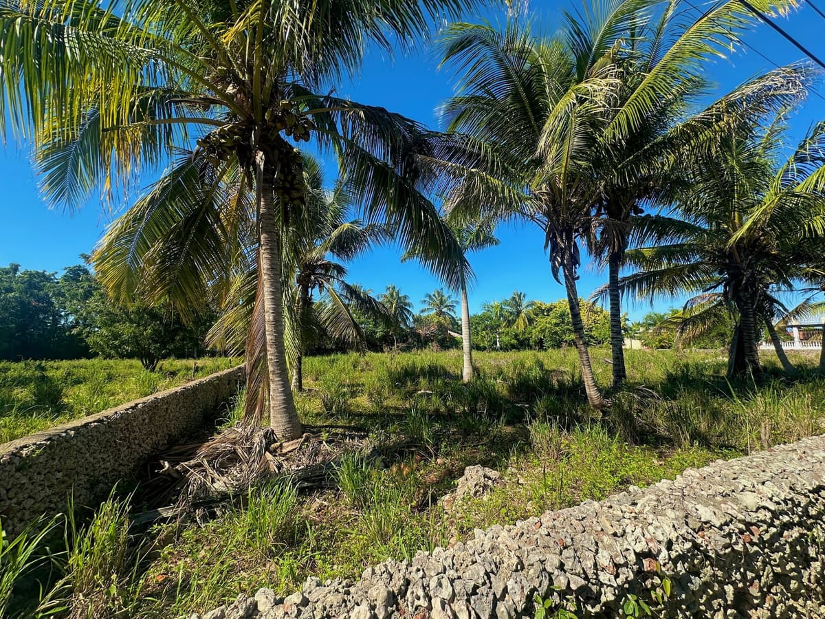 Lot For Sale, Lomas Mironas - Image 3
