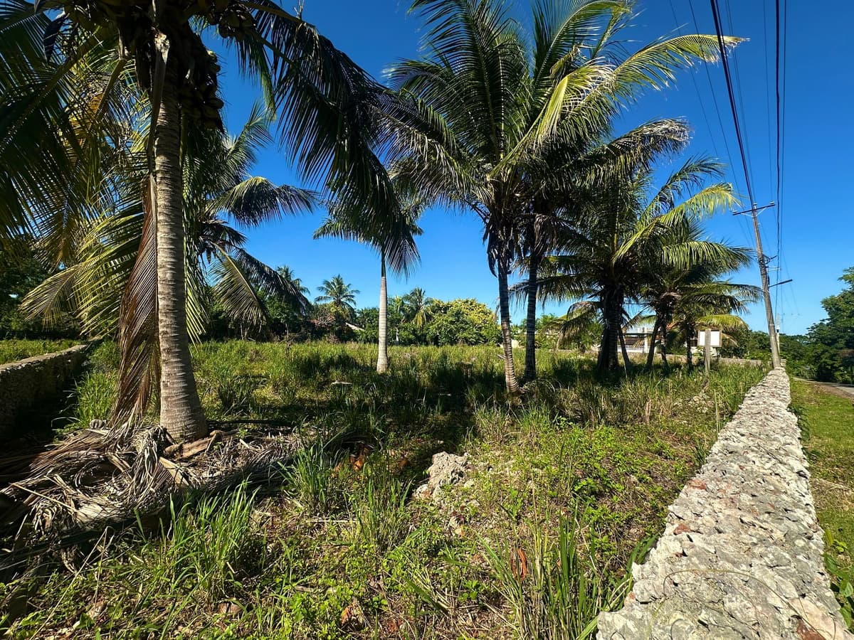 Lot For Sale, Lomas Mironas - Image 4