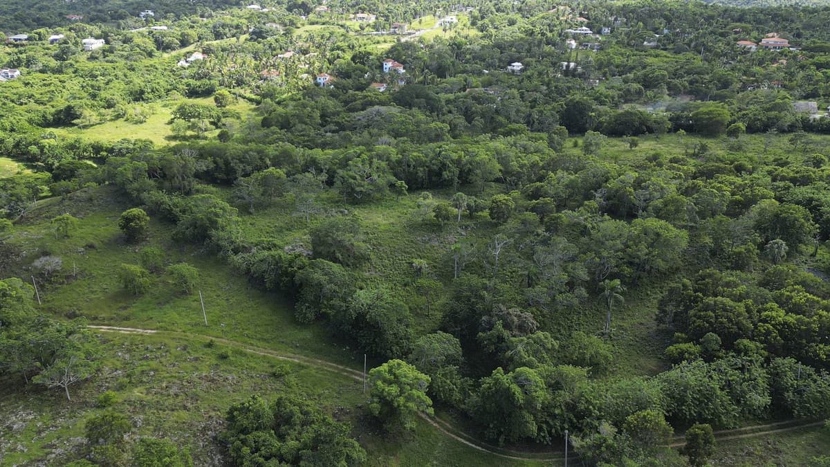 76 Acres Of Awesome Development Land For Sale In Sosua - - Image 3