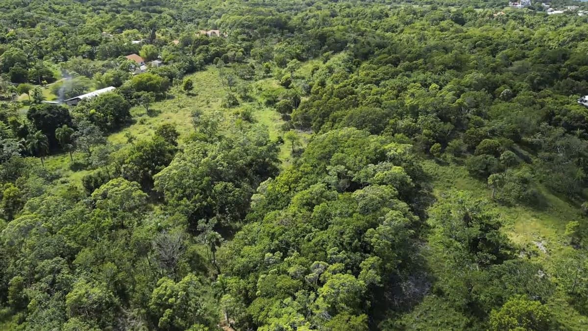 76 Acres Of Awesome Development Land For Sale In Sosua - - Image 2