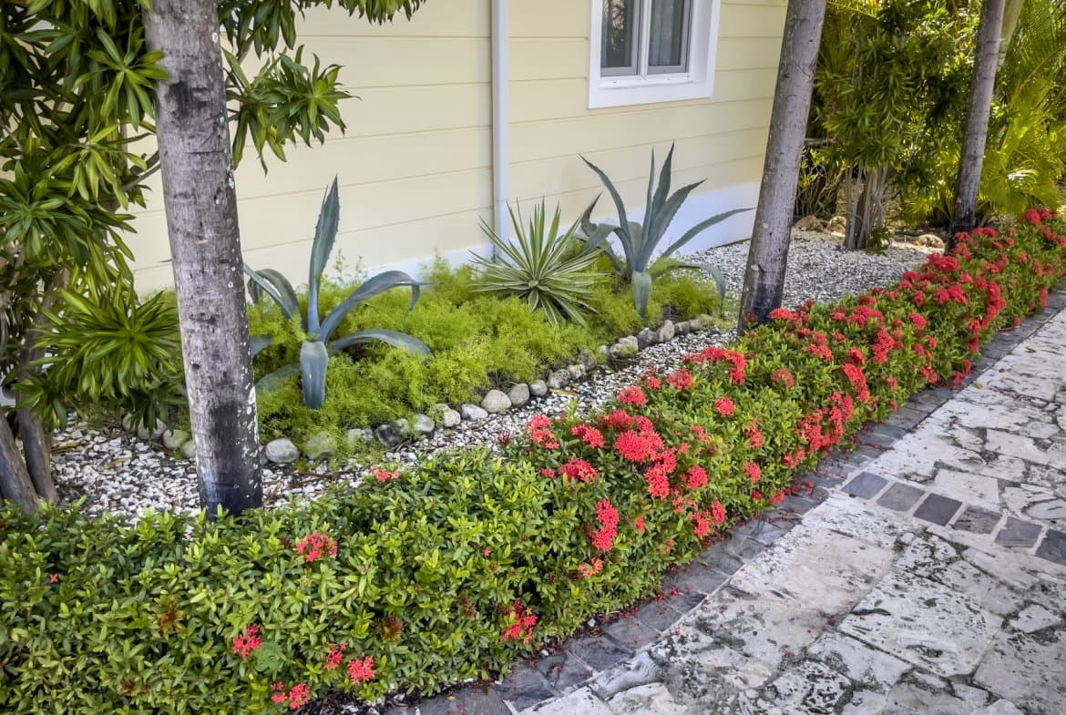 Hispaniola Beach: Stunning 2-Bedroom Oceanfront Condo - Image 5