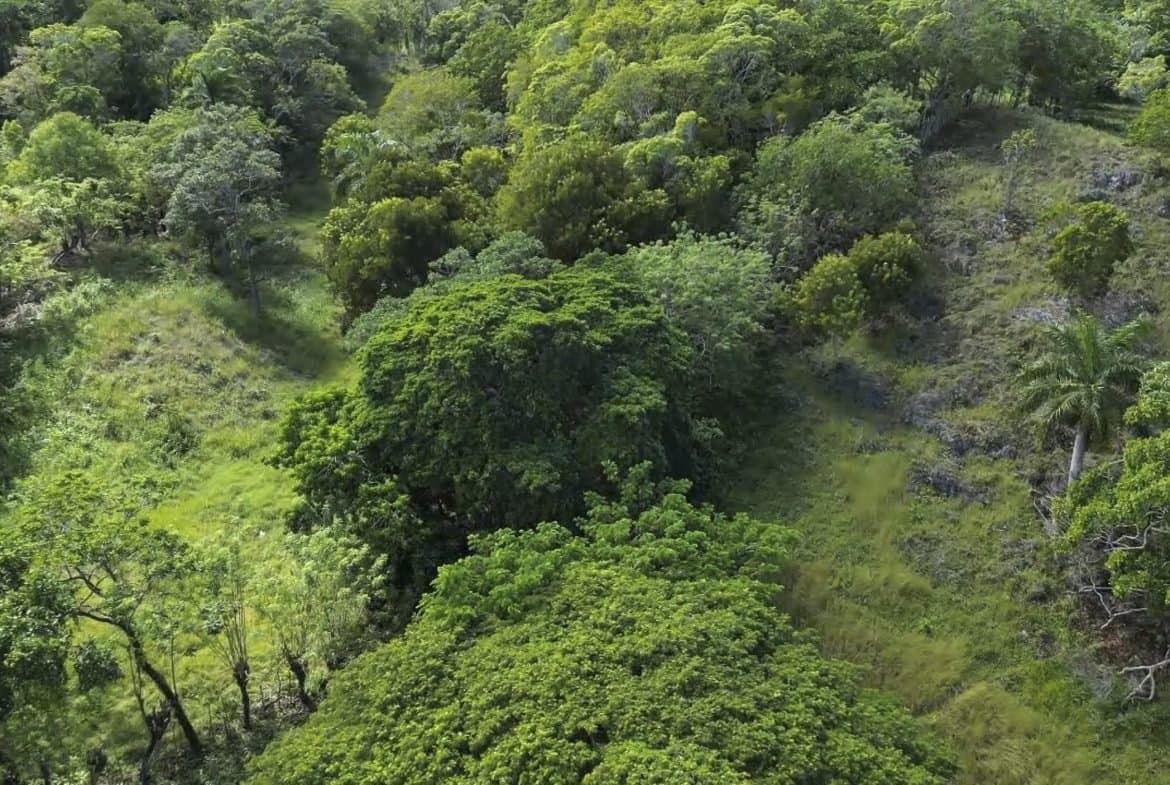 76 Acres Of Awesome Development Land For Sale In Sosua