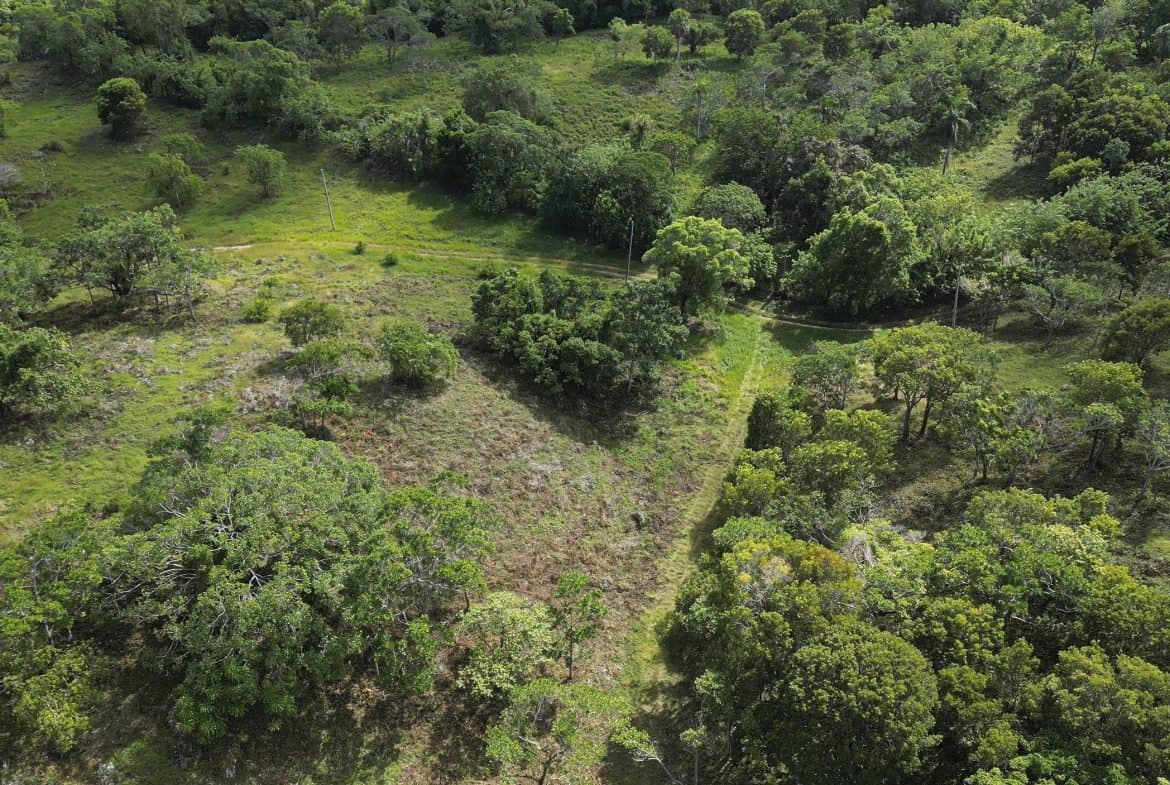76 Acres Of Awesome Development Land For Sale In Sosua - Image 5