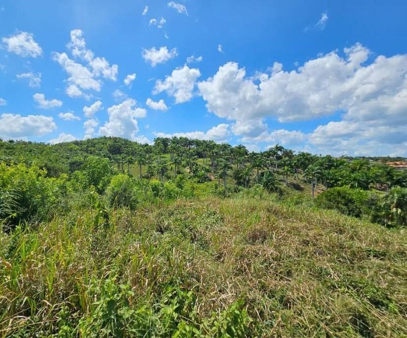 Massive 2628m² Ocean-View Lot Panorama Village | buyDRproperty - Image 4