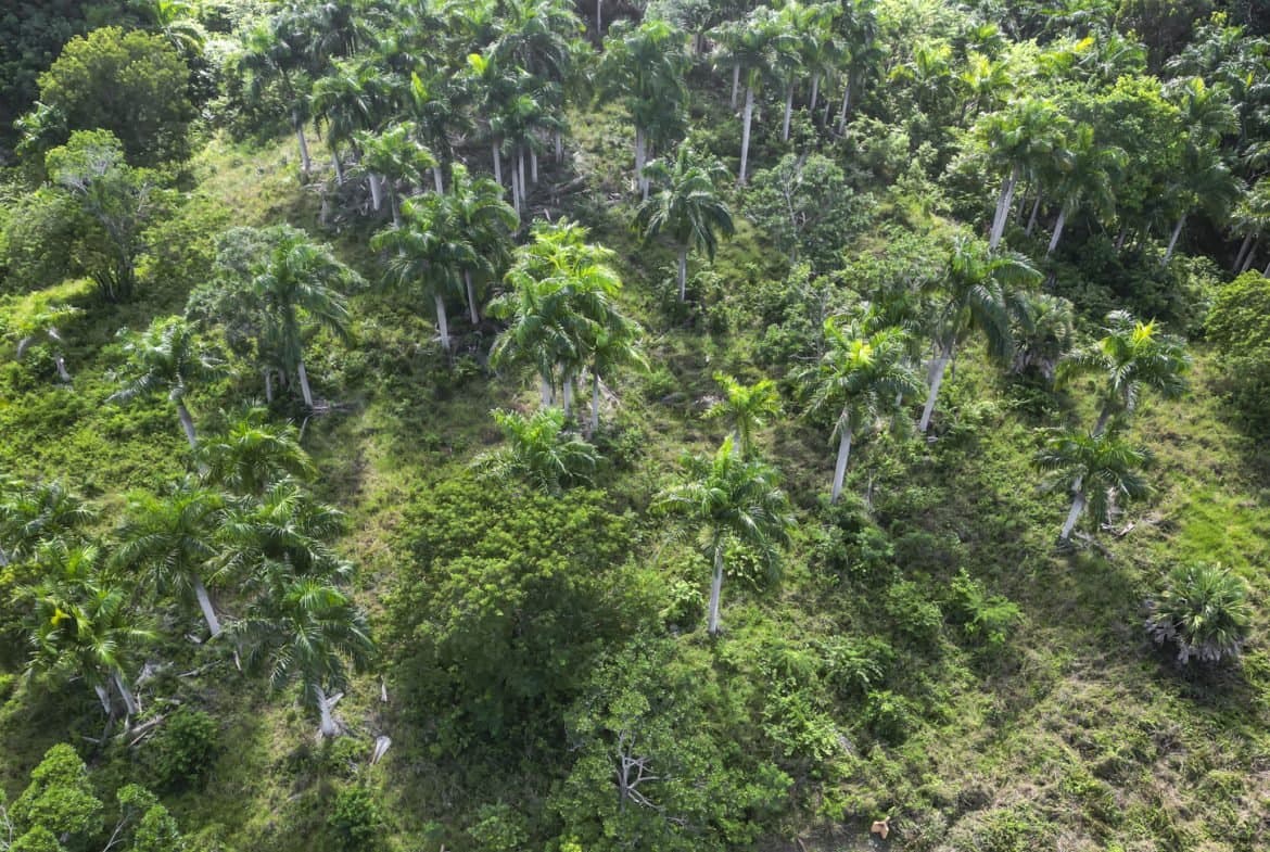 Ocean View Building Lot in Panorama Village, Sosúa – Best Value at $95k - Image 3