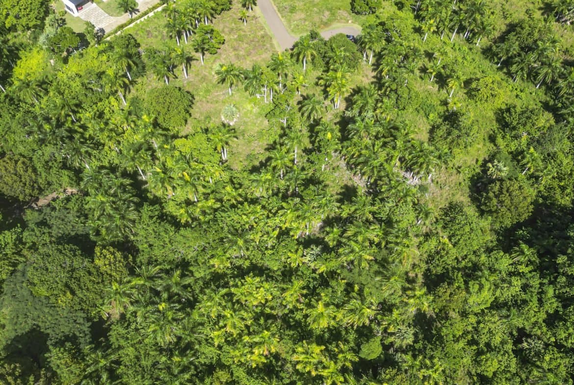 Ocean View Building Lot in Panorama Village, Sosúa – Best Value at $95k - Image 4