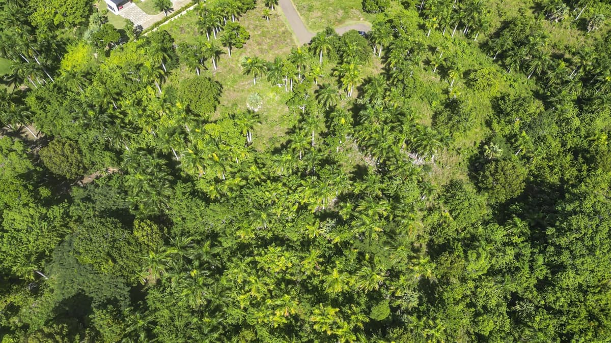 Premium 2,295 m² Ocean-View Lot in Panorama Village – Exclusive $105k Opportunity - Image 4
