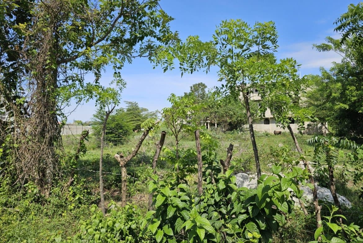 700m² Sosua Building Lot for Sale | Walk to Ocean | $98,000 - Image 3