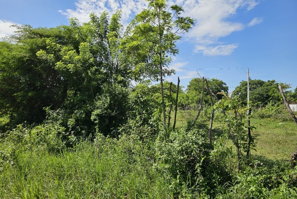 700m² Sosua Building Lot for Sale | Walk to Ocean | $98,000 - Image 4