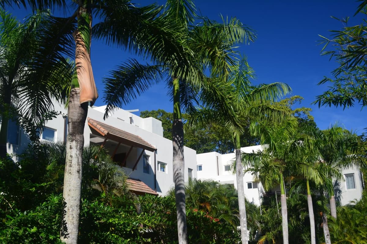 3307- DUPLEX PENTHOUSE IN SOSÚA - Image 2
