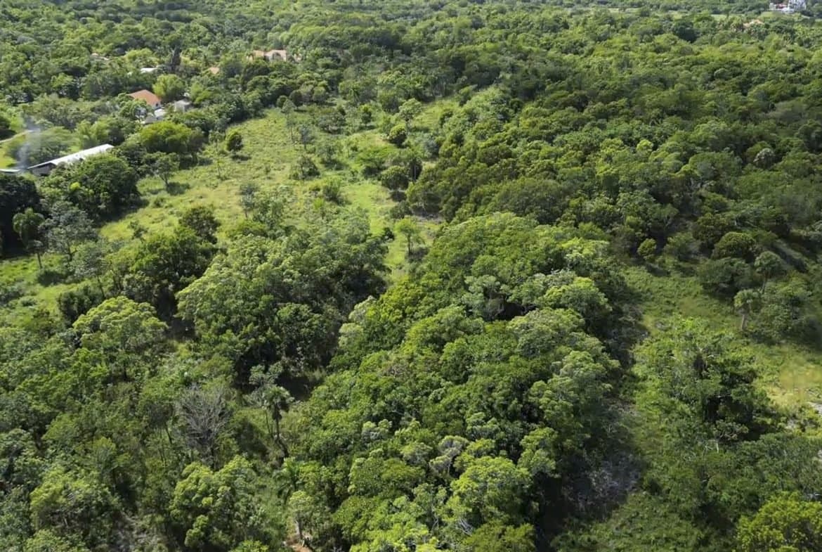 76 Acres Of Awesome Development Land For Sale In Sosua - - Image 2