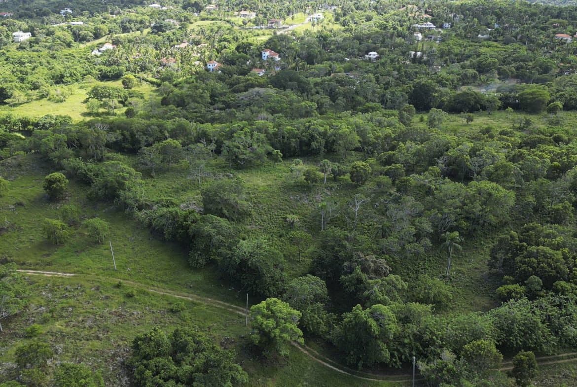 76 Acres Of Awesome Development Land For Sale In Sosua - - Image 3