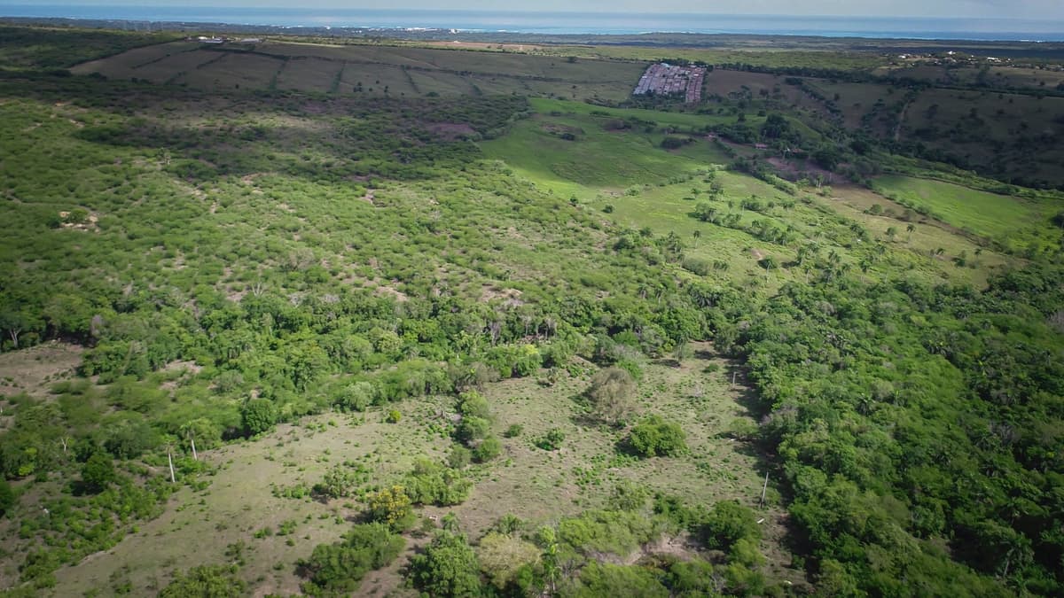 Beautiful 22 Acres of Development Property For Sale! - - Image 4