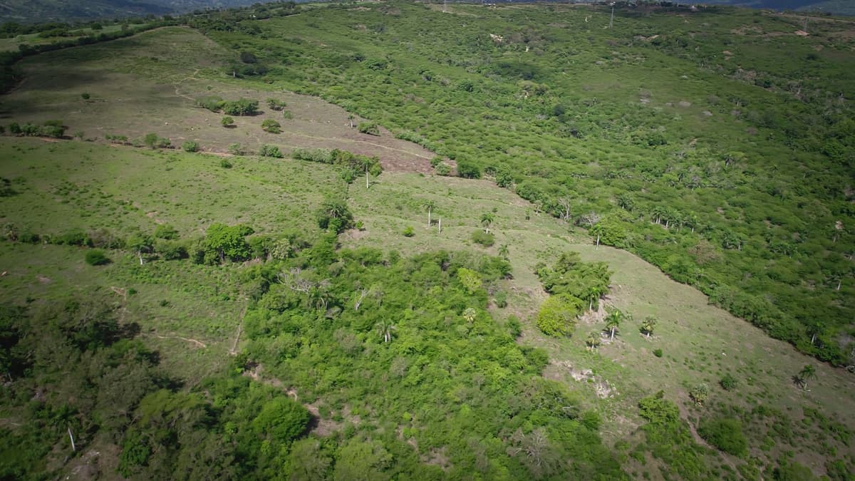 Beautiful 22 Acres of Development Property For Sale! - - Image 5