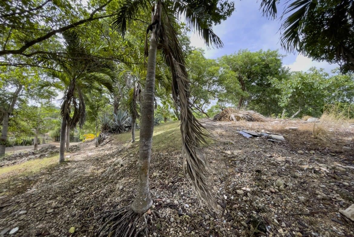 Large Building Lot for Sale with Ocean Views | Sosúa Real Estate - Image 2