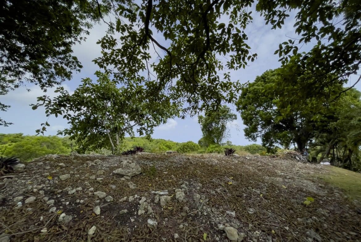 Large Building Lot for Sale with Ocean Views | Sosúa Real Estate - Image 5