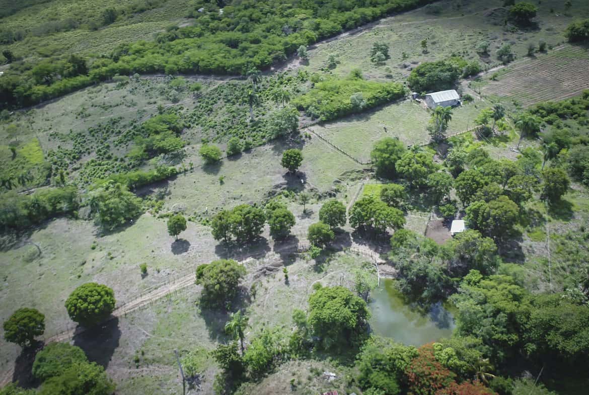 Beautiful 22 Acres of Development Property For Sale!