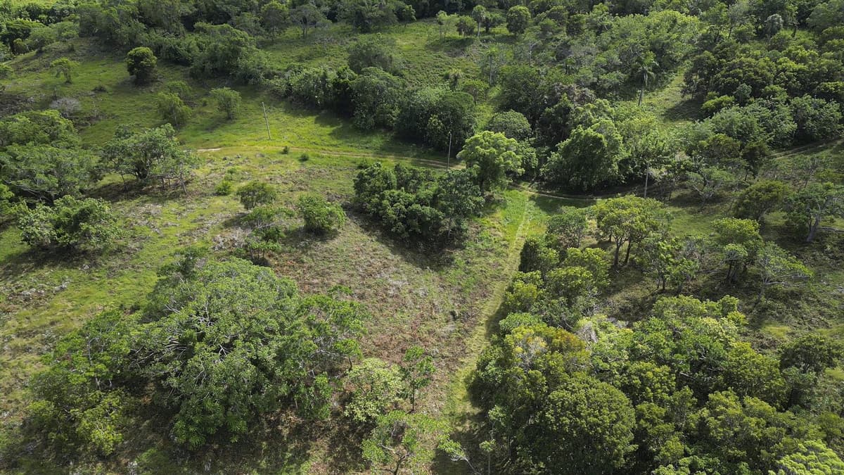 76 Acres Of Awesome Development Land For Sale In Sosua - - Image 5