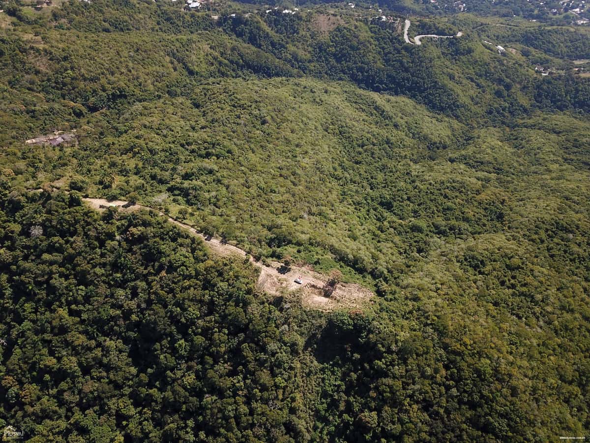 Proyecto de Solares de Montaña en Venta con Vista a Santiago en Palo Alto.