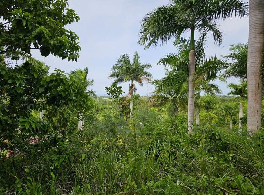 Prime Oceanview Land for Sale | Panorama Village Sosúa DR - Image 2