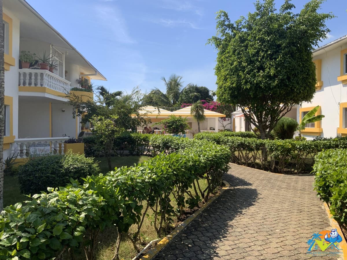 Boca Chica Cozy 2 BR condo - Image 4