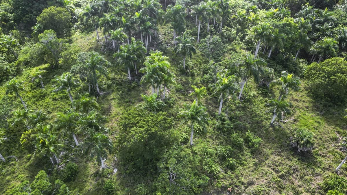 Ocean View Building Lot in Panorama Village, Sosúa – Best Value at $95k - Image 3